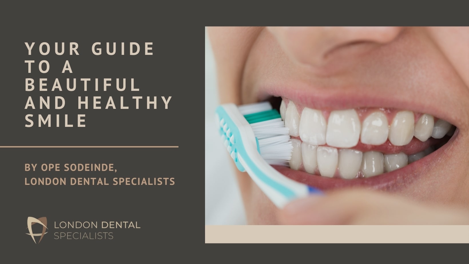 Your Guide To A Beautiful and Healthy Smile